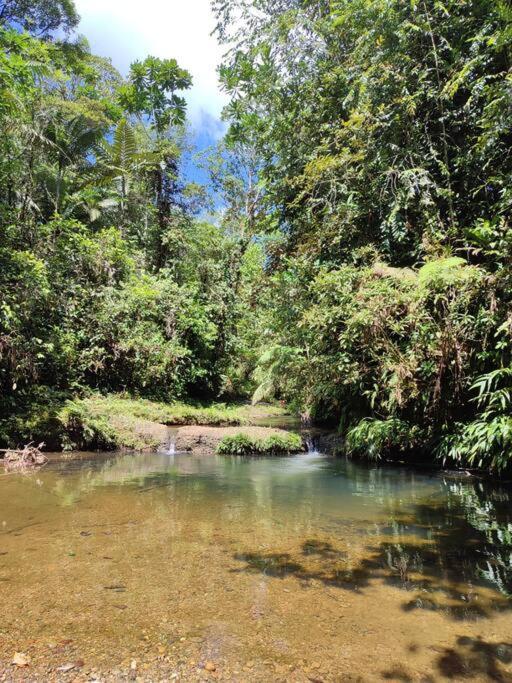 Mama Yeya Raices Pension San Cipriano Buitenkant foto