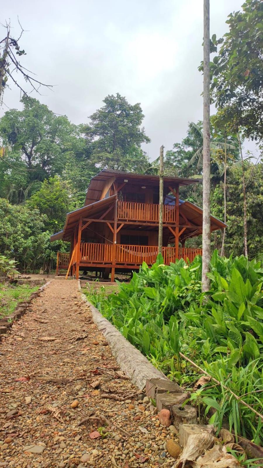 Mama Yeya Raices Pension San Cipriano Buitenkant foto